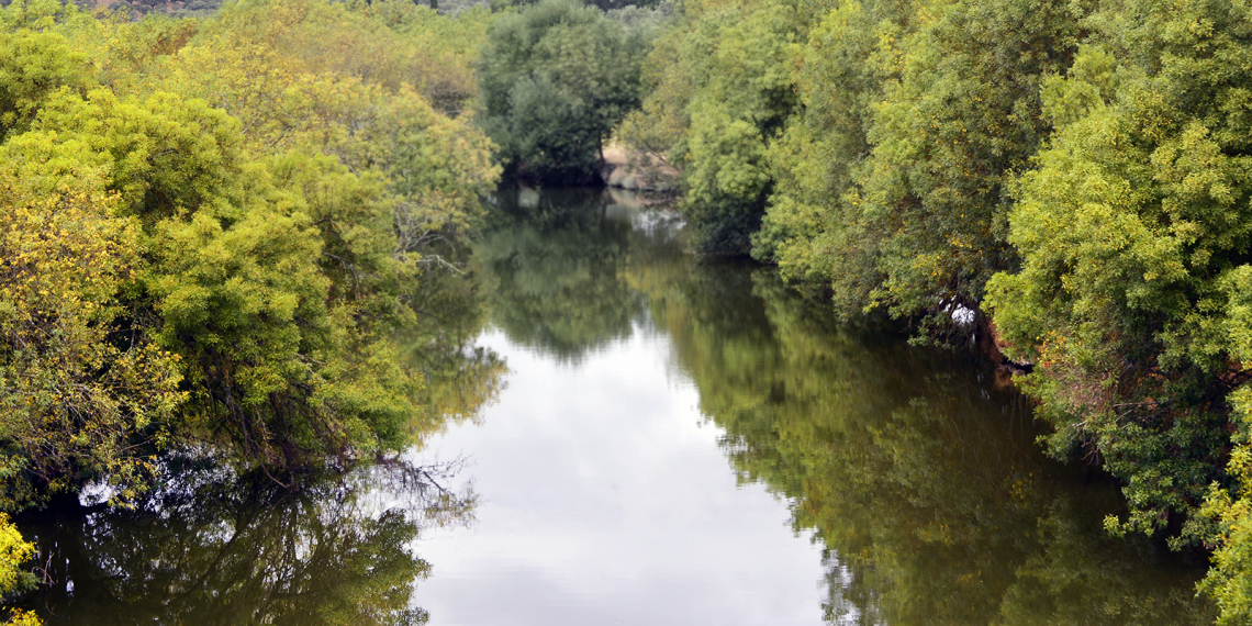 Ribeira de Seda