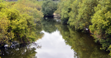 Ribeira de Seda