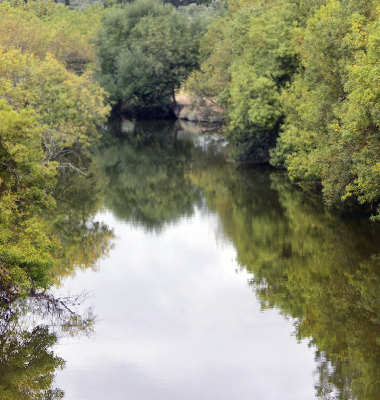 Ribeira de Seda