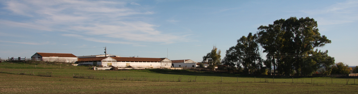 Monte dos Falcatos