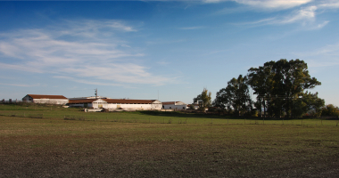 Monte dos Falcatos