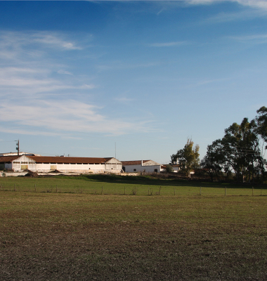 Monte dos Falcatos