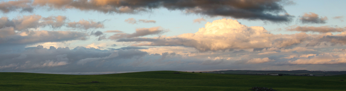 Panorâmica do Monte de S. Pedro