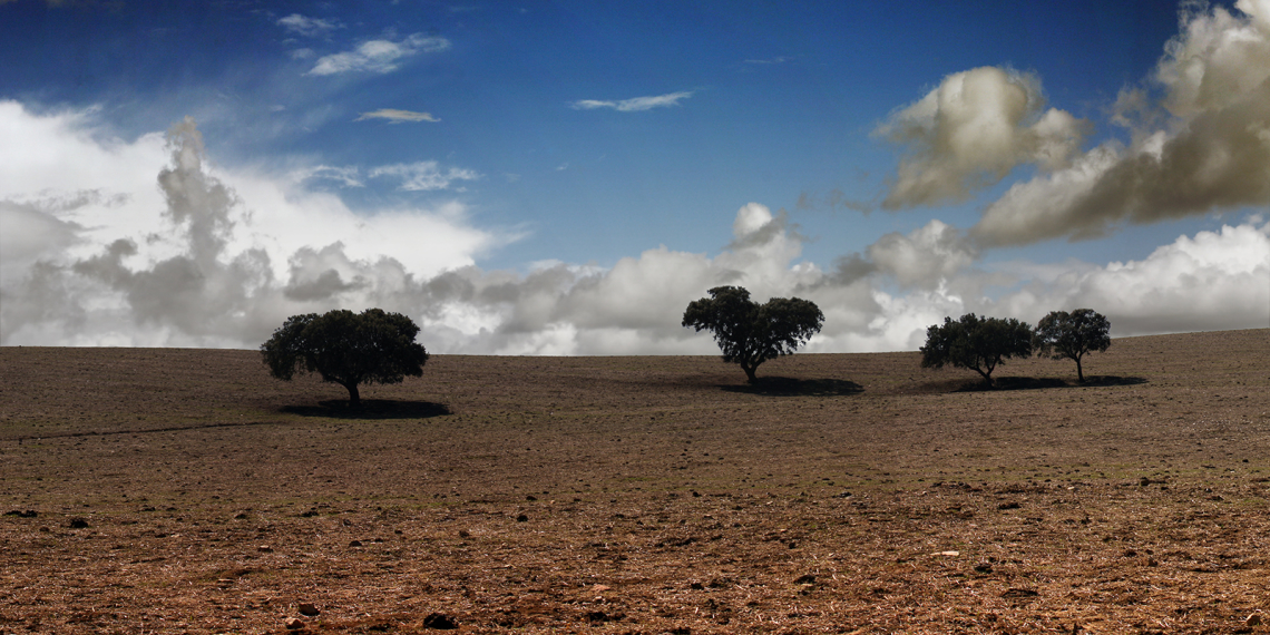 Planície no Verão perto de São Vicente