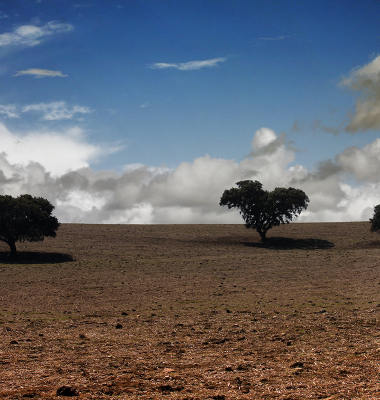 Planície no Verão perto de São Vicente