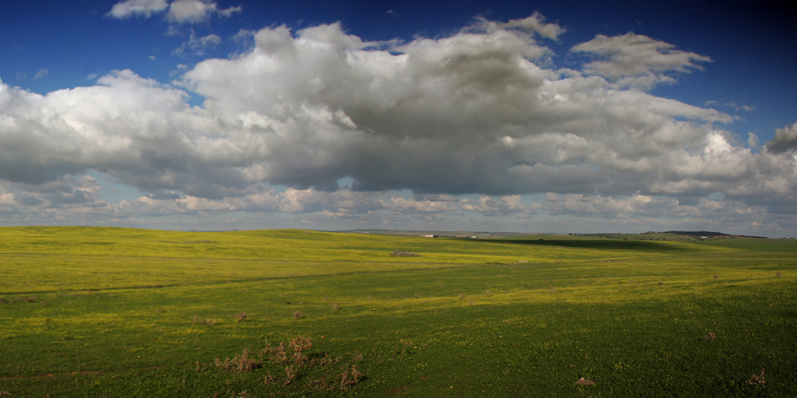 Monte de S. Pedro