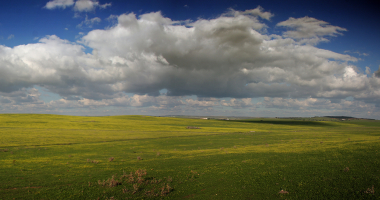 Monte de S. Pedro