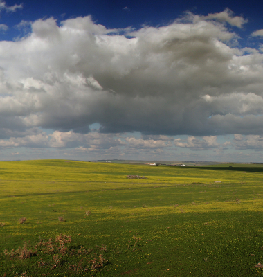 Monte de S. Pedro