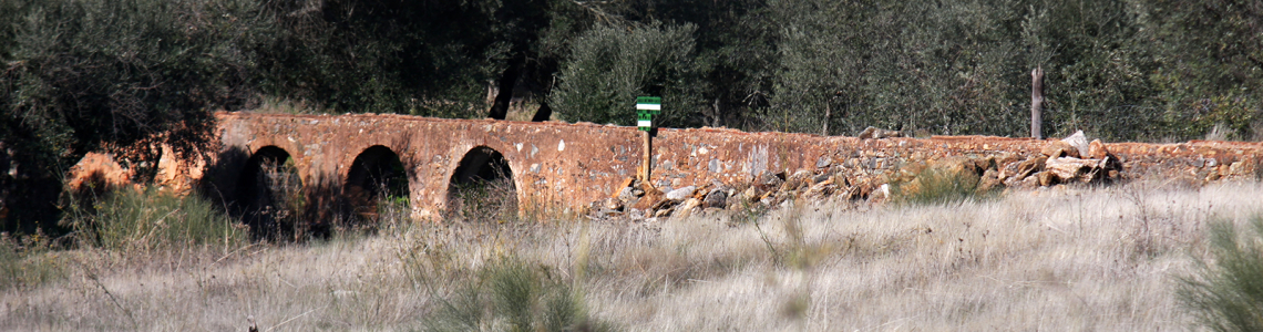 Ponte Velha