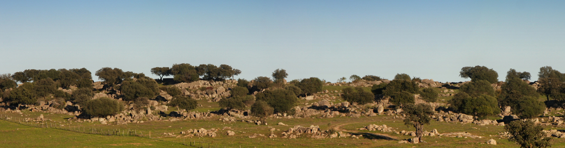 Entre Santa Eulália e a Barragem do Caia