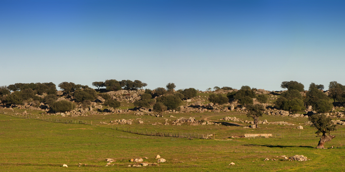 Entre Santa Eulália e a Barragem do Caia