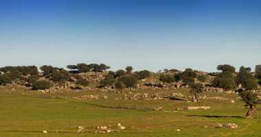 Entre Santa Eulália e a Barragem do Caia