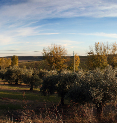 Vista sobre os campos