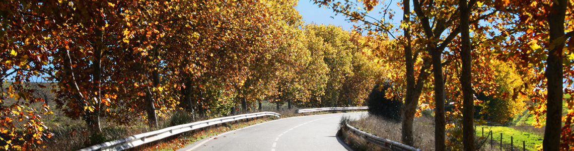 Estrada de Vila Fernando