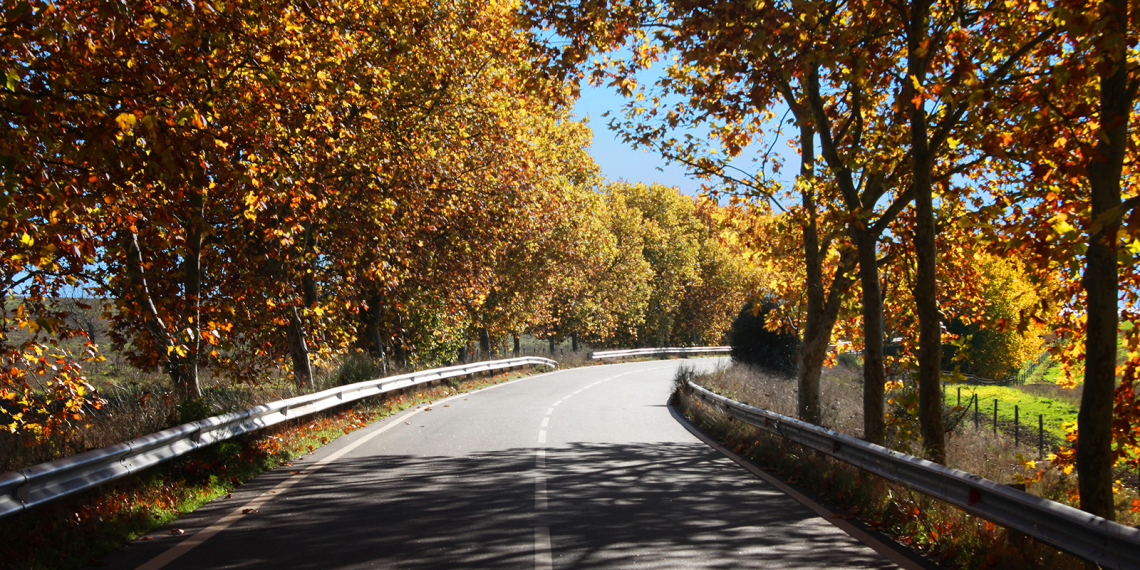 Estrada de Vila Fernando