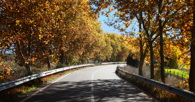 Estrada de Vila Fernando