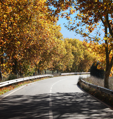 Estrada de Vila Fernando