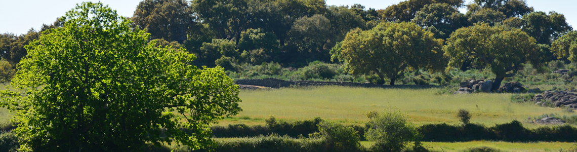 Paisagem entre Stº. António das Areias e Beirã