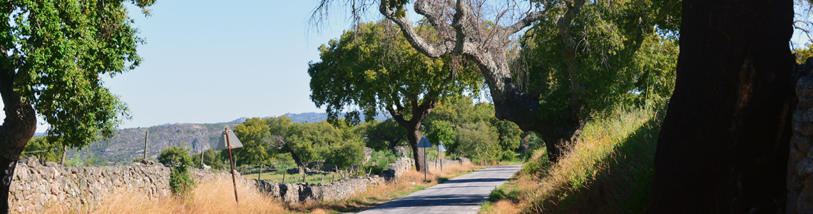 Estrada perto de Stº António das Areias