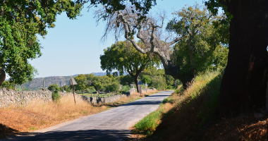 Estrada perto de Stº António das Areias