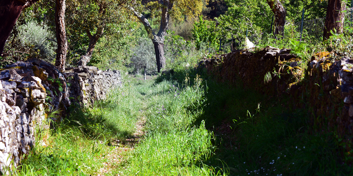 Caminho perdido entre Portugal e Espanha