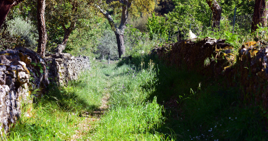 Caminho perdido entre Portugal e Espanha