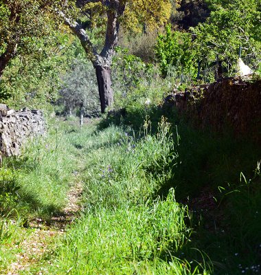 Caminho perdido entre Portugal e Espanha