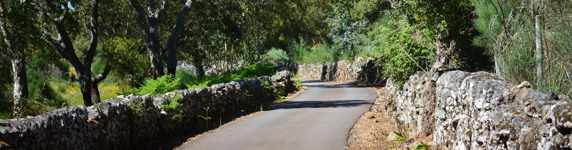 Estrada no limite de Portugal