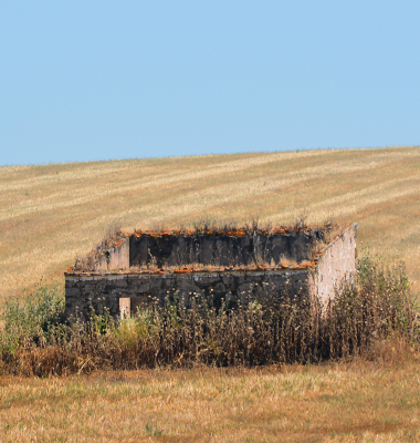 Monte abandonado perto de Stº Aleixo