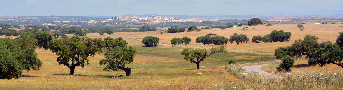 Monforte à vista