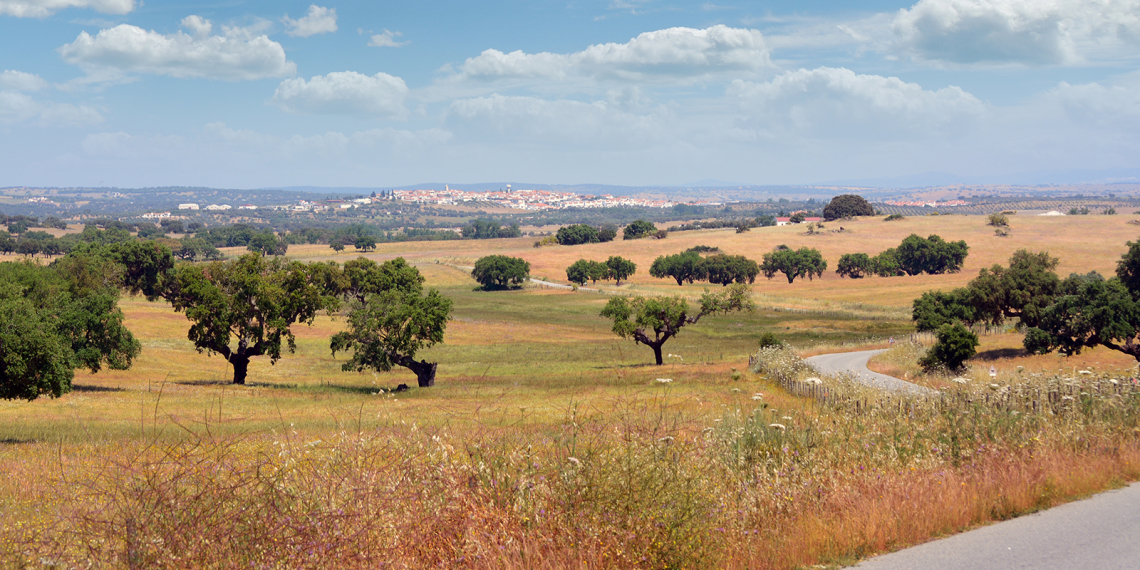 Monforte à vista