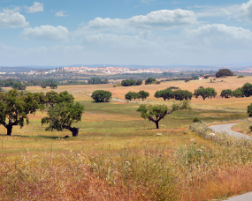 Monforte à vista