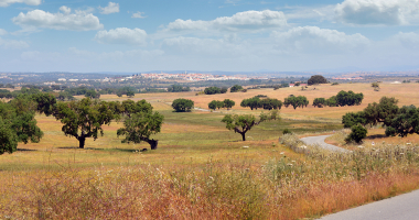 Monforte à vista