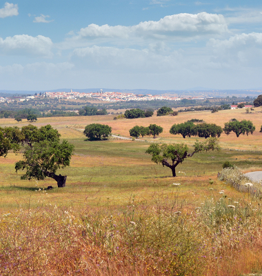 Monforte à vista