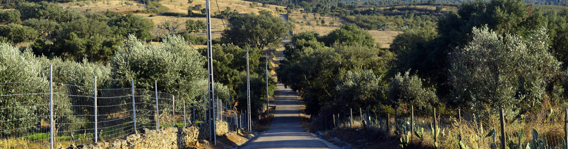Estrada de Albarrol
