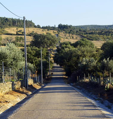 Estrada de Albarrol