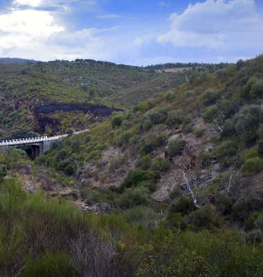 Ponte na EM 526