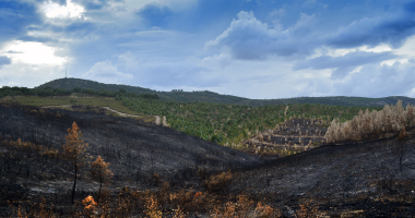 Paisagem queimada