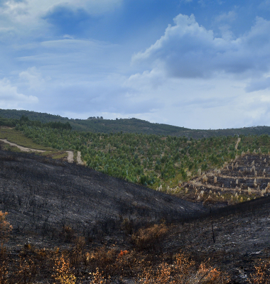 Paisagem queimada