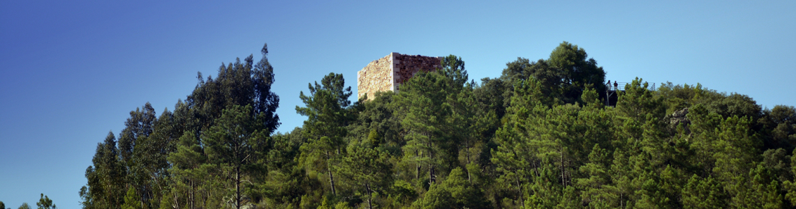 Torre num ermo junto ao Tejo