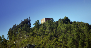 Torre num ermo junto ao Tejo