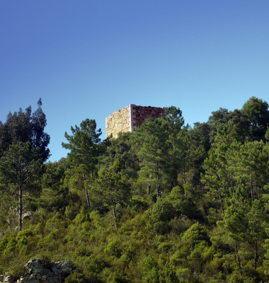 Torre num ermo junto ao Tejo