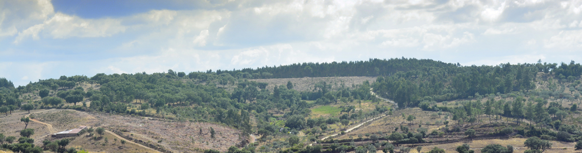 Paisagem perto de Amieira