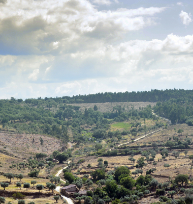 Paisagem perto de Amieira