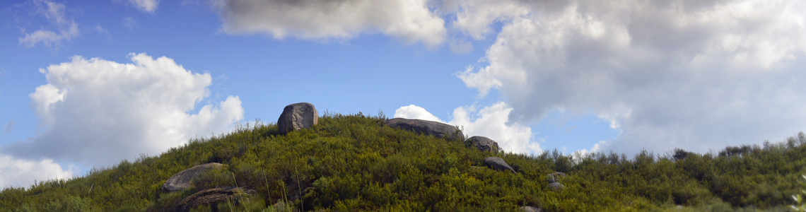 Paisagem perto de Vila Flor