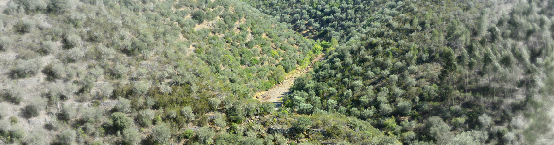 Estrada num vale entre Velada e Arneiro