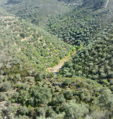 Estrada num vale entre Velada e Arneiro