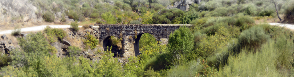 Ponte Medieval sobre a Ribeira de Figueiró (V. Flor)
