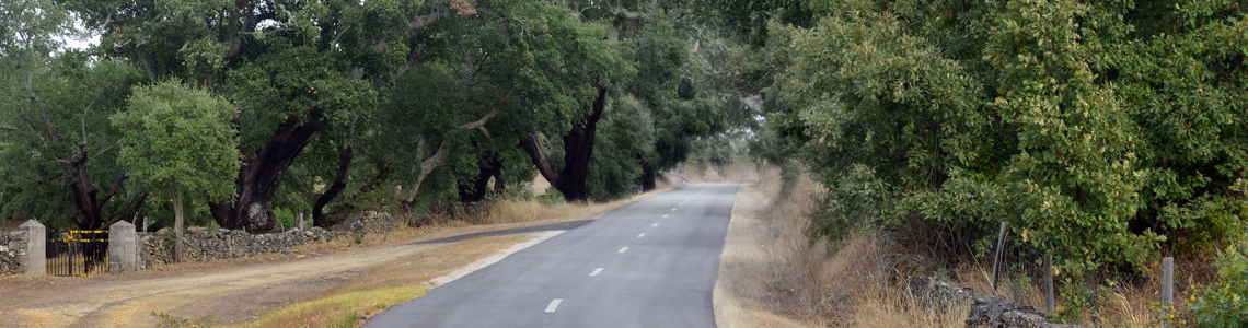 Estrada perto de Póvoa e Meadas