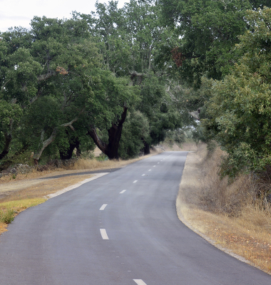 Estrada perto de Póvoa e Meadas